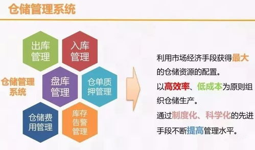 智慧物流新篇章 大数据解决方案如何重塑企业网络技术服务