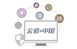 纳网科技 助力企业数字化升级的全方位网络技术服务专家